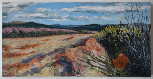 Clare Scott, Bed of Heaven (Towards Raven's Rock)