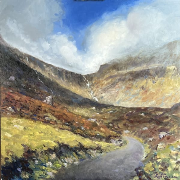 Tony Robinson, Approach to Mahon Falls