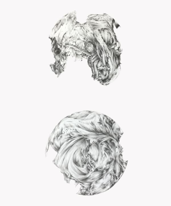 Ida Mitrani, Awaiting Mutation