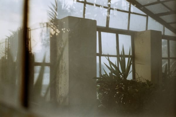 Dania Hany, On a Lighter Note, 2019