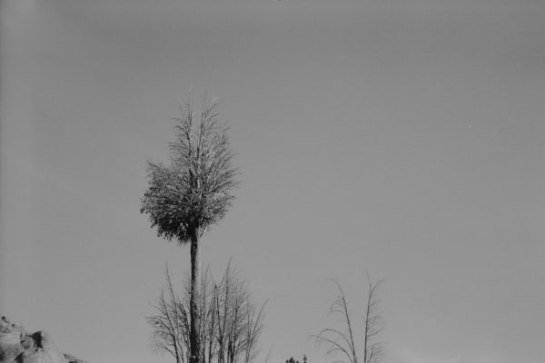 Dania Hany, Elijah’s Basin I, 2017