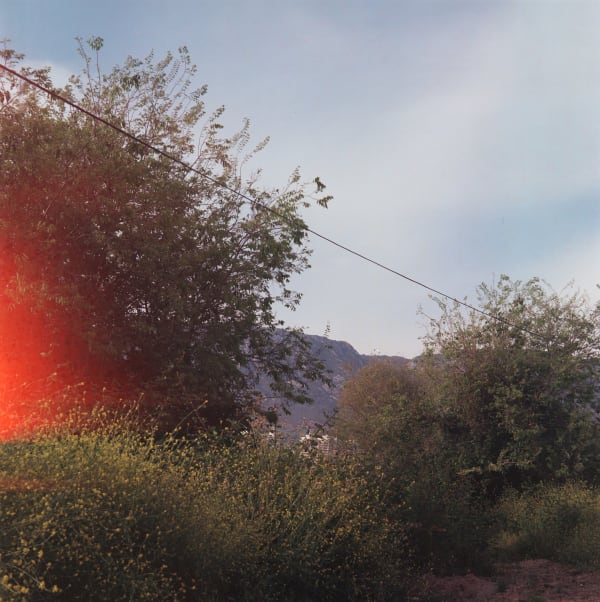 Dania Hany, Early One Morning, 2020