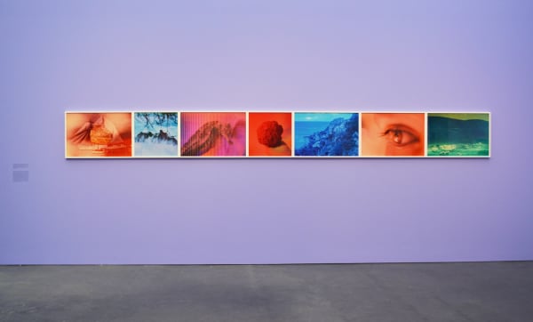 Basim Magdy, An Island Recalls the Tangled Details of Its Past Life as a Poem of Solitude and Unrecorded Events, 2016