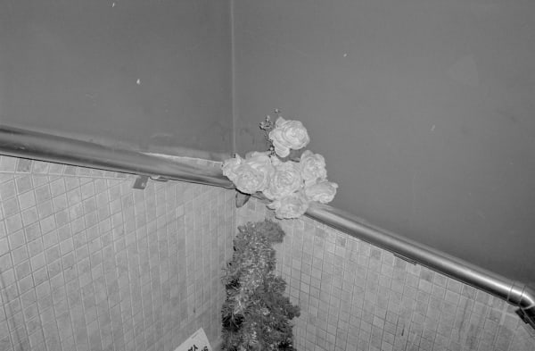 Dania Hany, Untitled, 2019