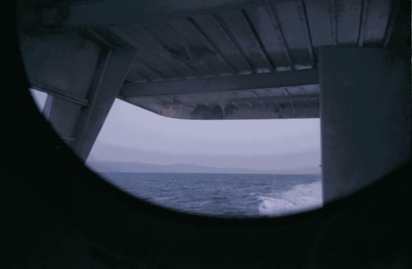 Dania Hany, View from the Other Side, 2020