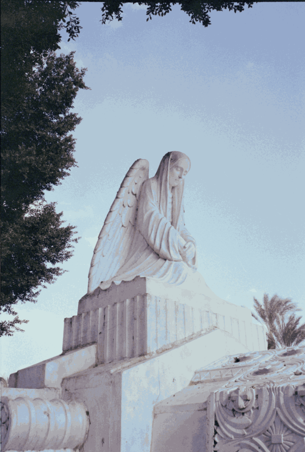 Dania Hany, A Resting Place, 2020