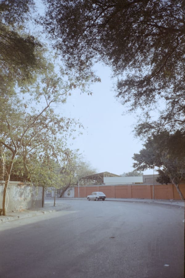 Dania Hany, Late Fragment, 2019