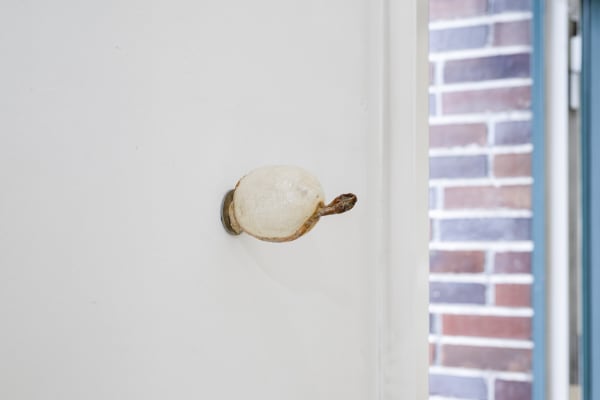 250910 Artstu Bli What The Water Gave Us 57