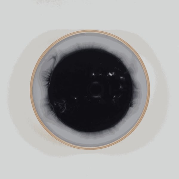 Yusuke Suga, Unnamable Time - Black Sun