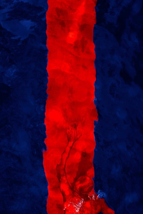 Barbara Cole photo of a person swimming underwater with a center stripe of red in the image with the rest blue. 