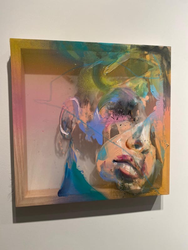 Hueman abstract portrait of a face using Acrylic on Organza.