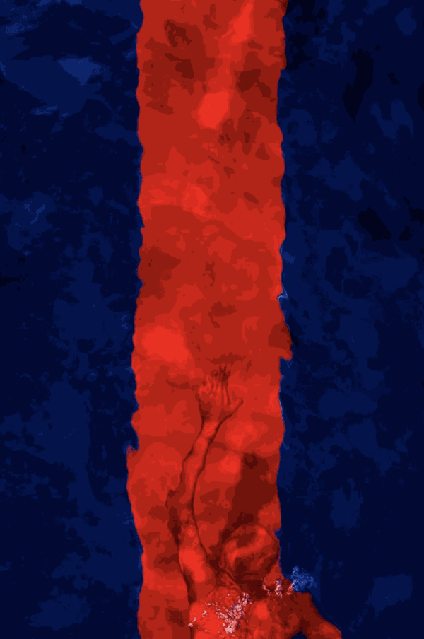 Barbara Cole photo of a person swimming underwater with a center stripe of red in the image with the rest blue. 