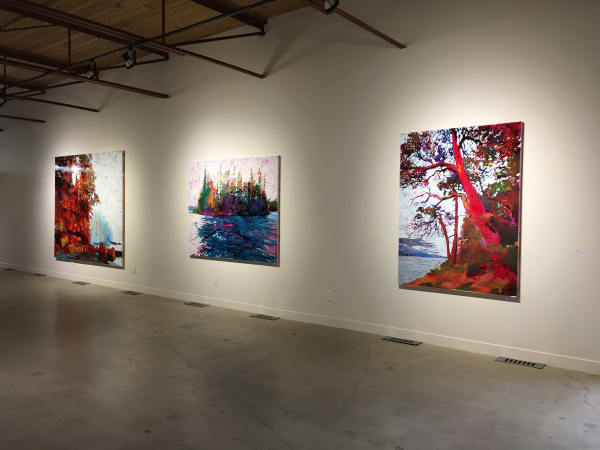 Driscoll Steve 2019Install14