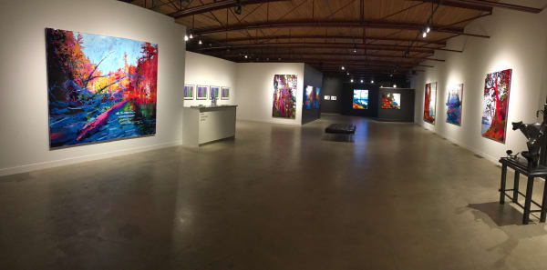 Driscoll Steve 2019Install4