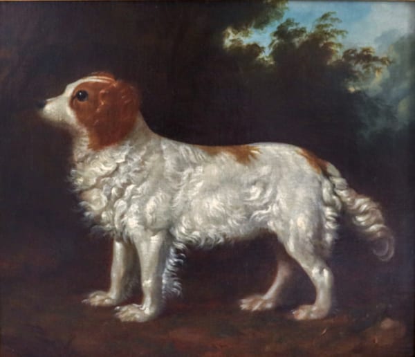 English 18th century water spaniel, circle of George Stubbs