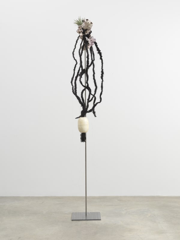 Minouk Lim, Shooting Star, 2022