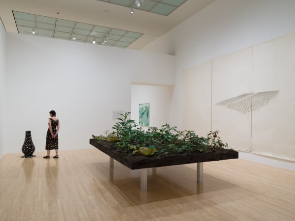 Fictions of Display