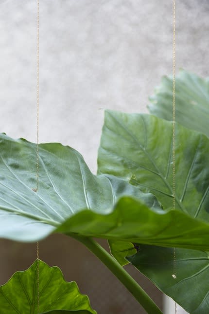Tania Pérez Córdova, “Rain” (detail), 2022–, mixed media, dimensions variable.
