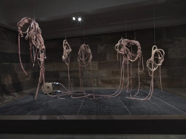 In Seoul, a Major Player Surveys the City’s Changing Scene Ahead of Frieze