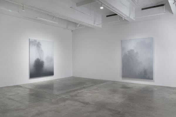 Kibong Rhee's Misty Landscapes Reveal Hidden Shadows