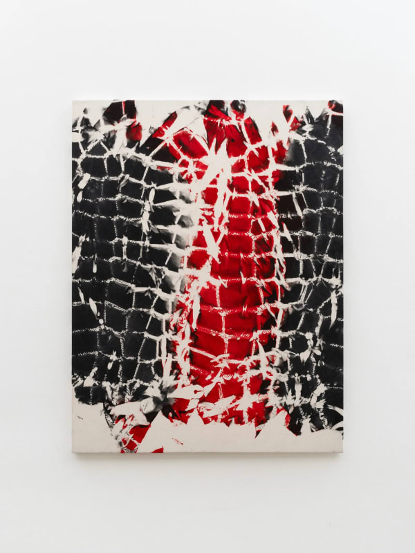 What not to miss at Frieze New York 2025