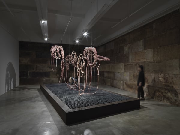 Mire Lee: Carriers, Exhibition Video