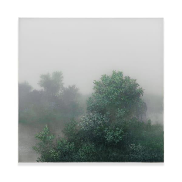 Kibong Rhee, Extra-ordinary-late-summer, 2023