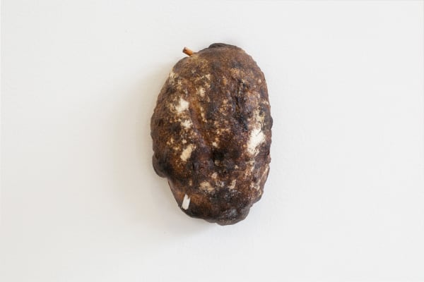 Tania Pérez Córdova, Huelga (Strike), 2018. Bread baked with cigarette butts. Dimensions variable. Courtesy the artist. Photo: Gerardo Landa y...