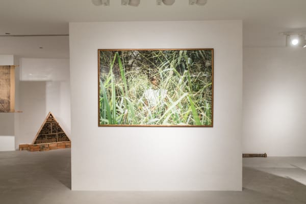 Zohra Opoku, Installation Shot, 2016
