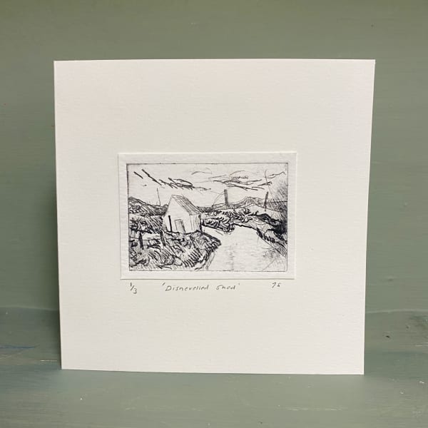 Jayne Stokes, Dishevelled Shed, 2026