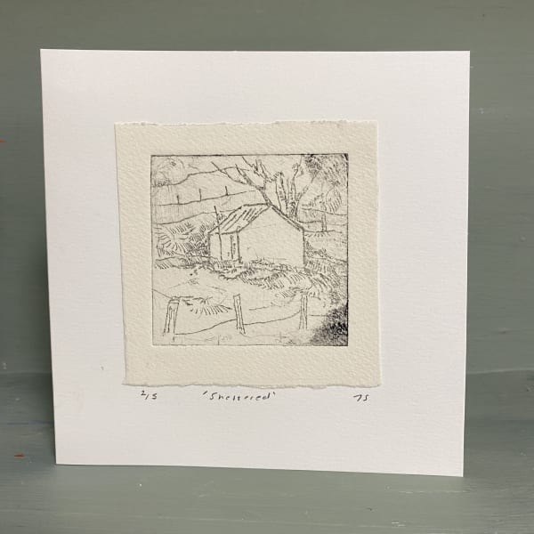 Jayne Stokes, Sheltered, 2026