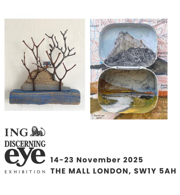 ING Discerning Eye Exhibition Mall Galleries, London