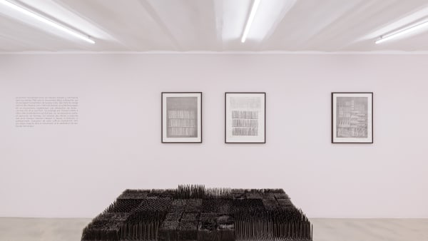 Nkn 0957 Web Photo Gregory Copitet