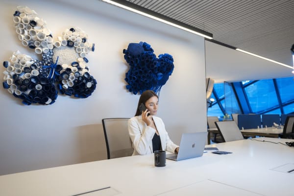 Corporate Art: The Luxury Workspace