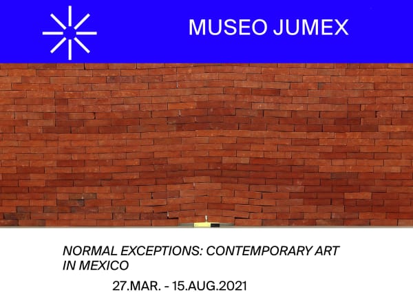 Normal Exceptions: Contemporary Art in Mexico Museo Jumex Curated by Kit Hammonds