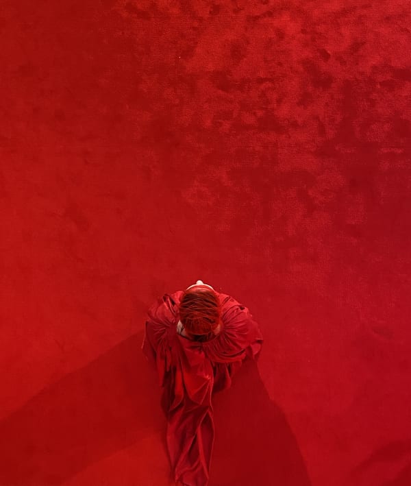 Electra, 2023 Performance, 12 minutes Sound Composition: Ian Gottlieb Costume Design: Marina Dalgalarrondo Performers: Stephanie Lucchese & Luisa Alcantara Photo: Paulo Vicelli