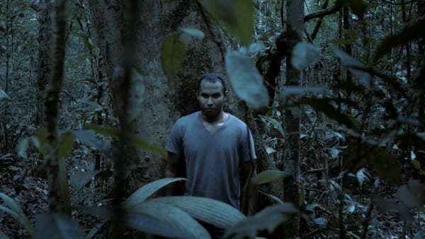 Regina Parra, Captain of the Forest, 2016