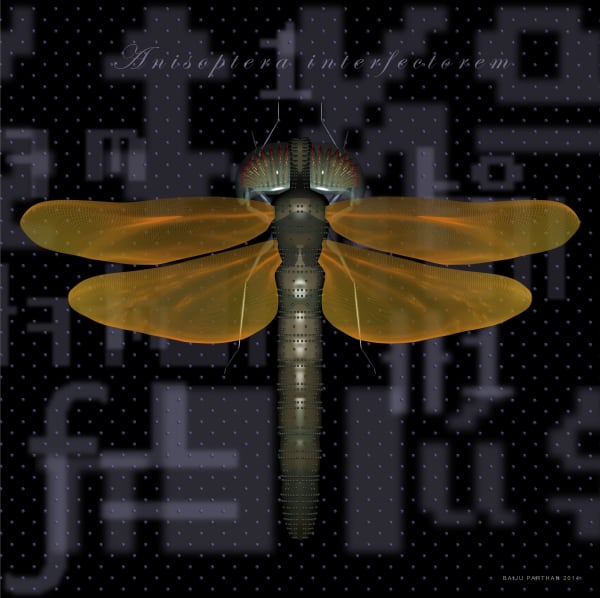 PROCESS - D ( Anisoptera Matallics )