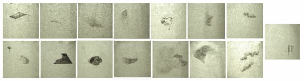 The Unpredictable ecosystem: An Impact