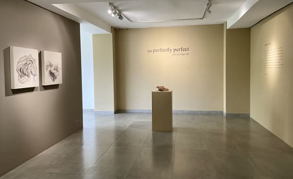 IMPERFECTLY PERFECT GROUP SHOW