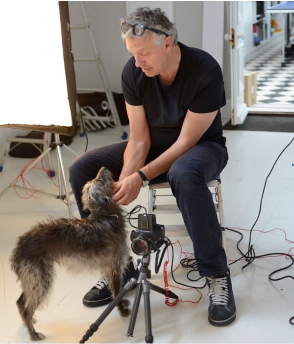 Rory Carnegie - White Fallow Deer, 2019