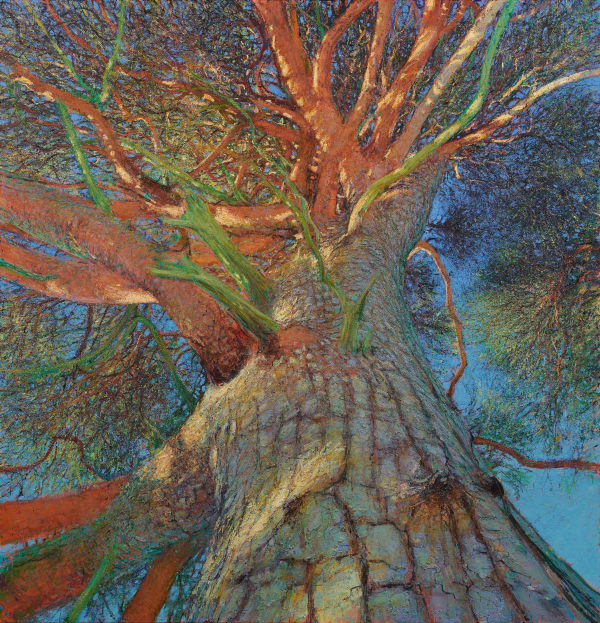 Andrew Gifford