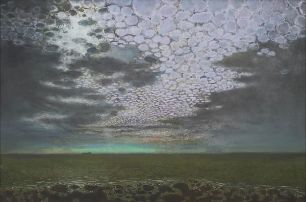 The Tender Sky Richard Cartwright