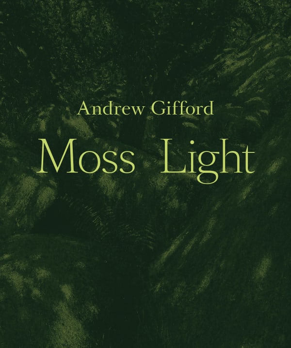 Andrew Gifford - Moss Light, Painting the Atlantic Rainforest