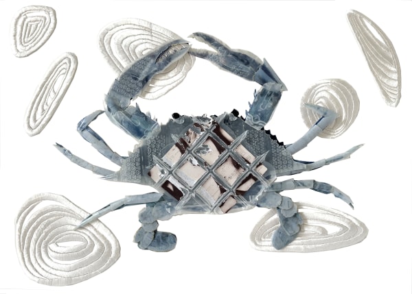 Sequinned Sea King