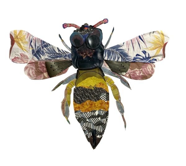 Peter Clark, Bee Still