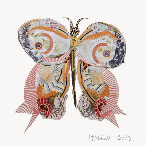 Peter Clark, Fancy Flutter 1