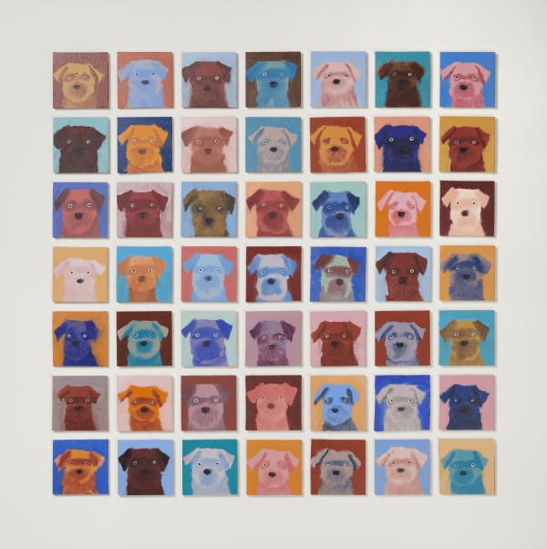 49 Terriers