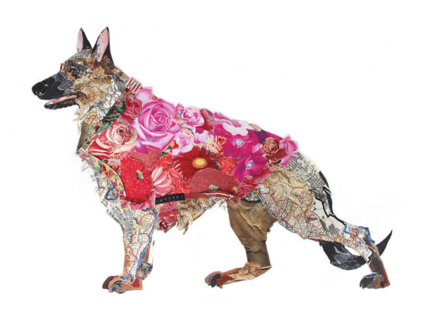 Peter Clark, Power Dresser