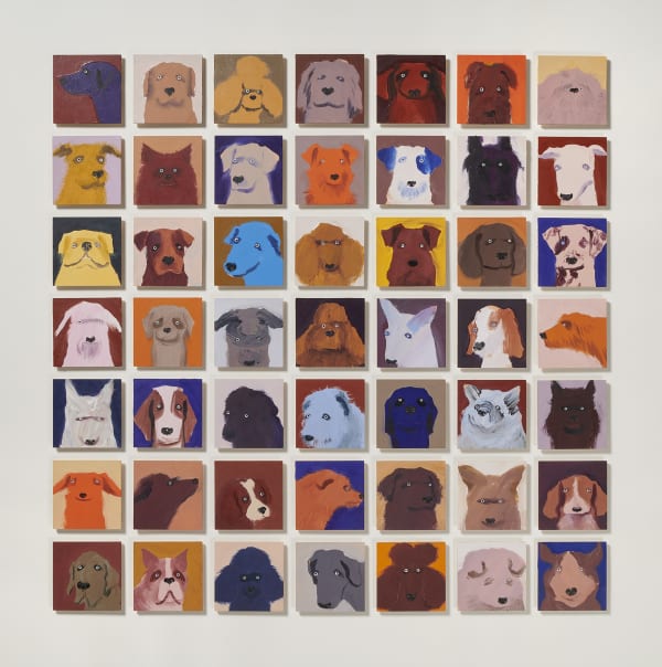 49 Dogs (Orange)